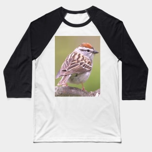 Chipping Sparrow on a big curled tree branch Baseball T-Shirt